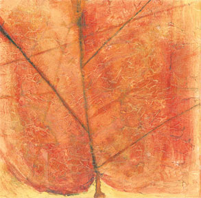 Leaf illustration