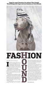 Fashion Hounds