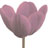 Get ready for spring design